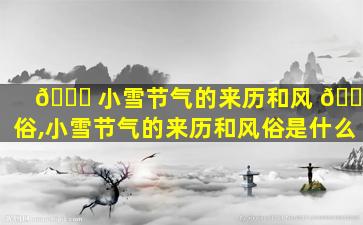 💐 小雪节气的来历和风 🌸 俗,小雪节气的来历和风俗是什么